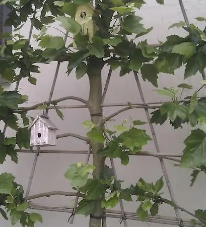 Casa Sibbe With Beautiful View Casa de Férias