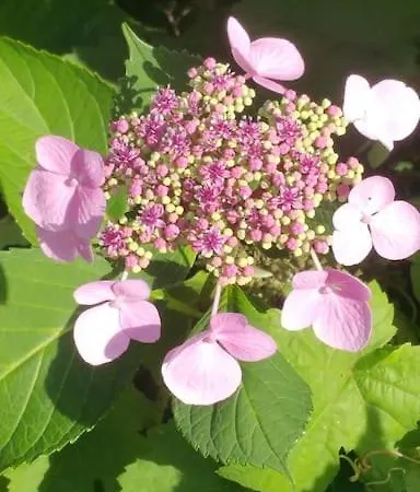 Casa Sibbe With Beautiful View Nyaraló *