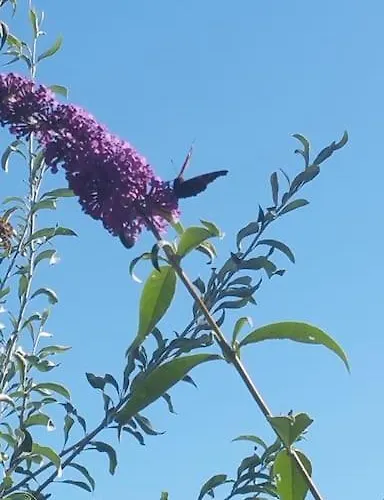 Casa Sibbe With Beautiful View Сasa de vacaciones