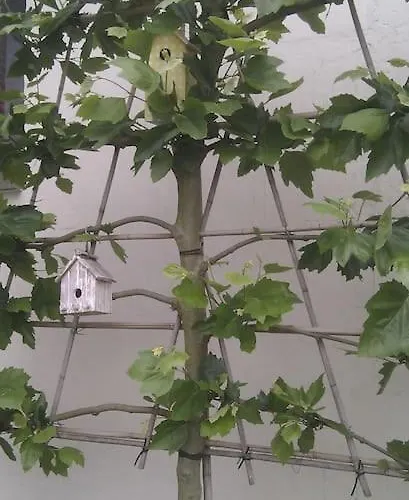 Casa Sibbe With Beautiful View Ferienhaus