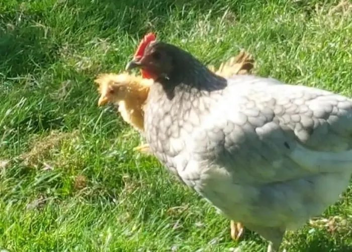 Casa Sibbe With Beautiful View Сasa de vacaciones