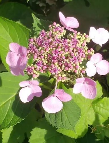 Casa Sibbe With Beautiful View Сasa de vacaciones *