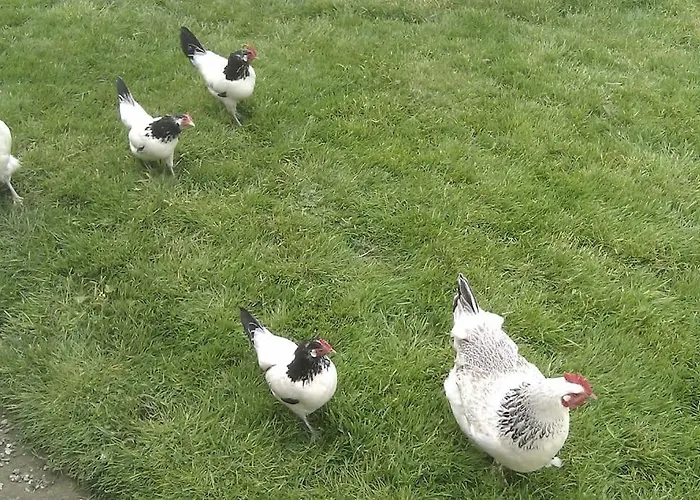 Casa Sibbe With Beautiful View Сasa de vacaciones