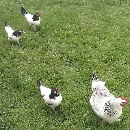 Casa Sibbe With Beautiful View Будинок відпочинку