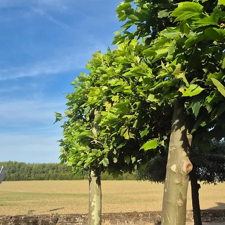 Casa Sibbe With Beautiful View Будинок відпочинку *